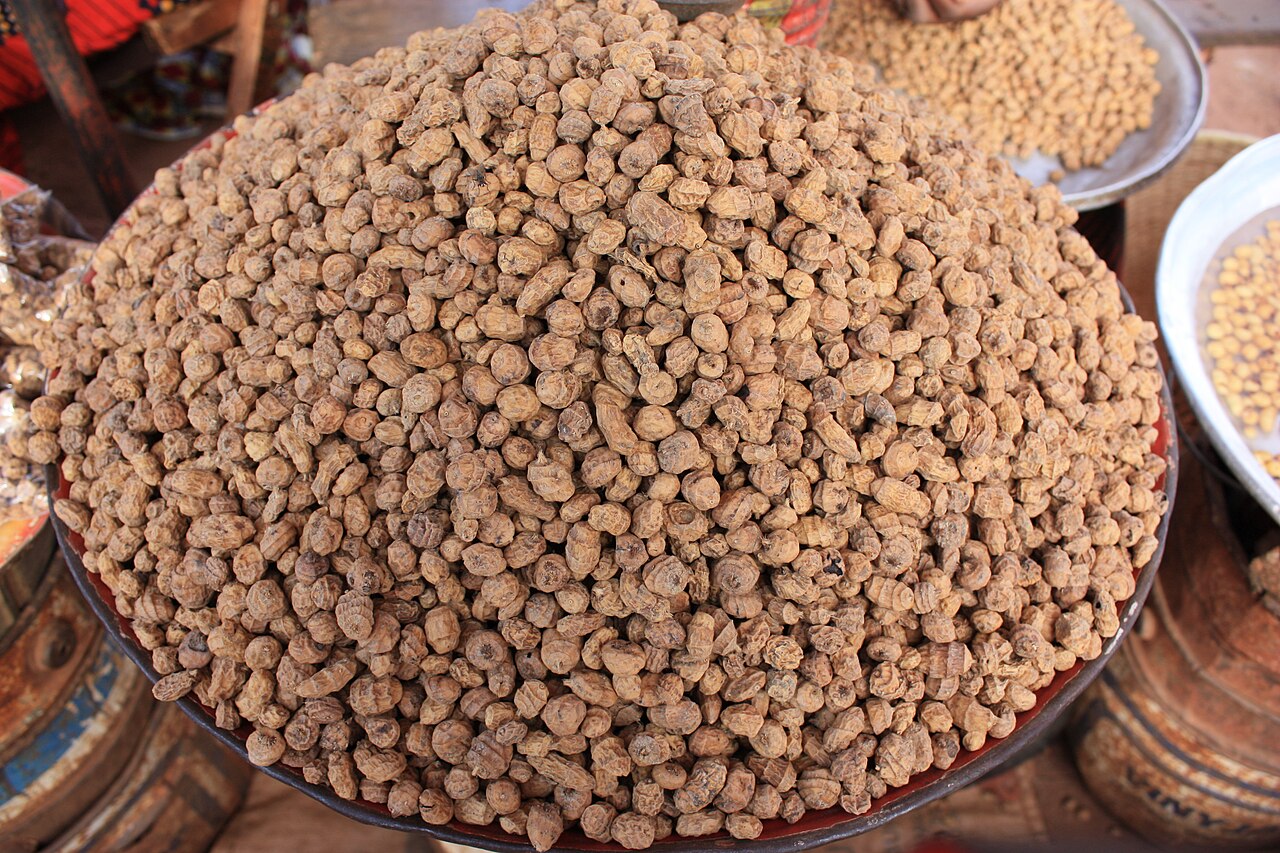 Echte knollen van Cyperus esculentus op de markt van Banfora, Burkina Faso (2010). Dit zijn ondergrondse voorraadorganen, niet de bovengrondse nootjes.
